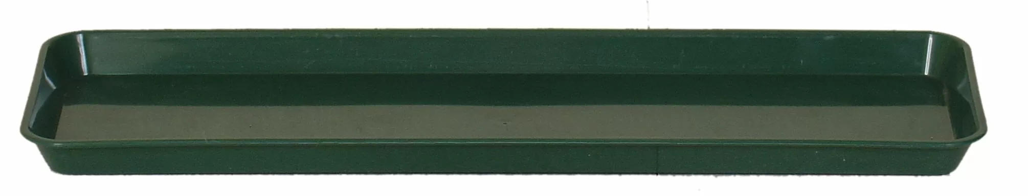 Dt29